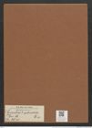 Synedra ? splendida Ehr. (de-Toni-Nr.: Genus 66, Species 2643) Zeichnungen Sammlung Grunow Mappe 02844 (Herbarium_W_Grunow_drawings_Folder_02844)
